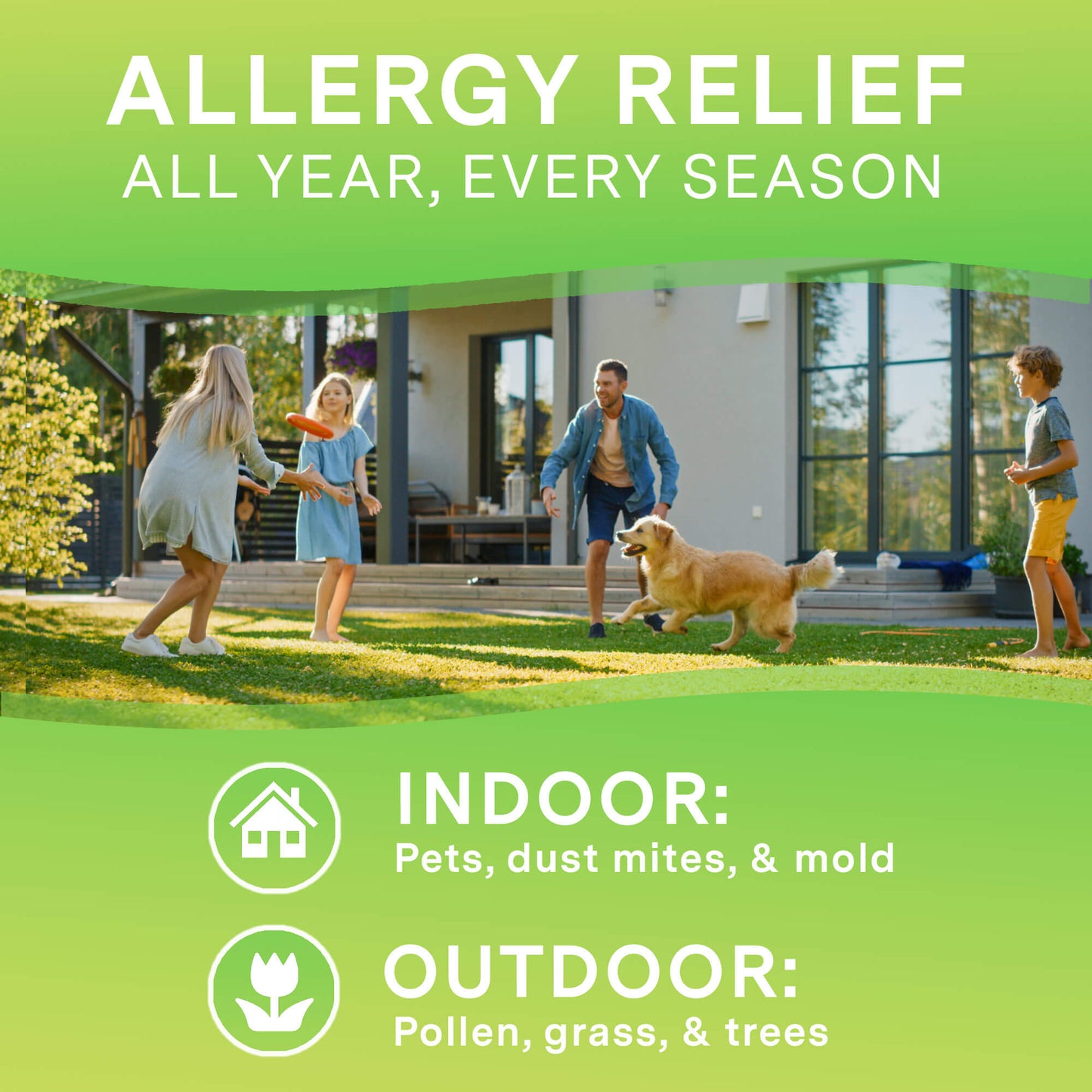 Allergy Relief (cetirizine 10 mg), 365 ct